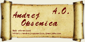 Andrej Opsenica vizit kartica